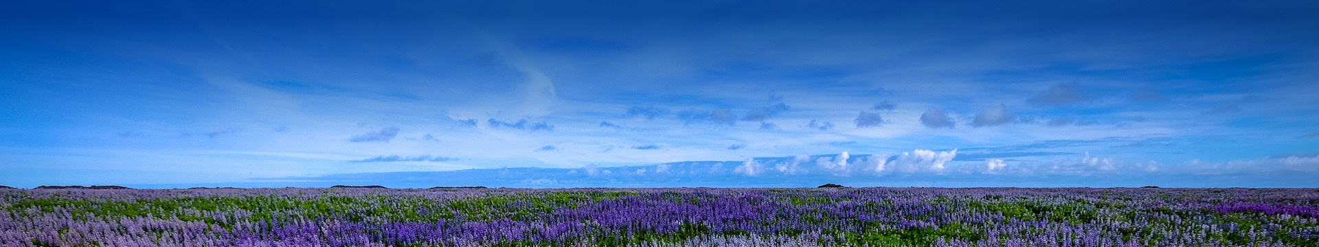 福州妙峰山陵园